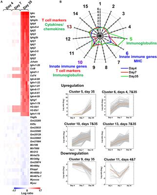 Bioinformatics Analysis of Gut Microbiota and CNS Transcriptome in Virus-Induced Acute Myelitis and Chronic Inflammatory Demyelination; Potential Association of Distinct Bacteria With CNS IgA Upregulation